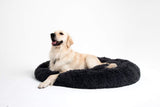 Dog Bed